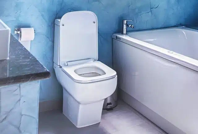 Тоалетна чиния